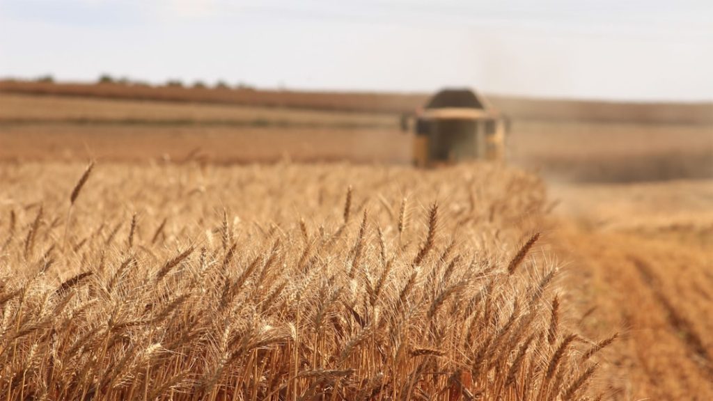 entdecken sie umfassende informationen und neuigkeiten rund um die landwirtschaft, nachhaltige anbaumethoden und moderne agrartechnologien.